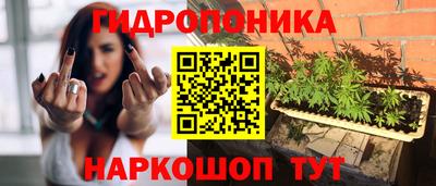 мяу мяу мука Апшеронск