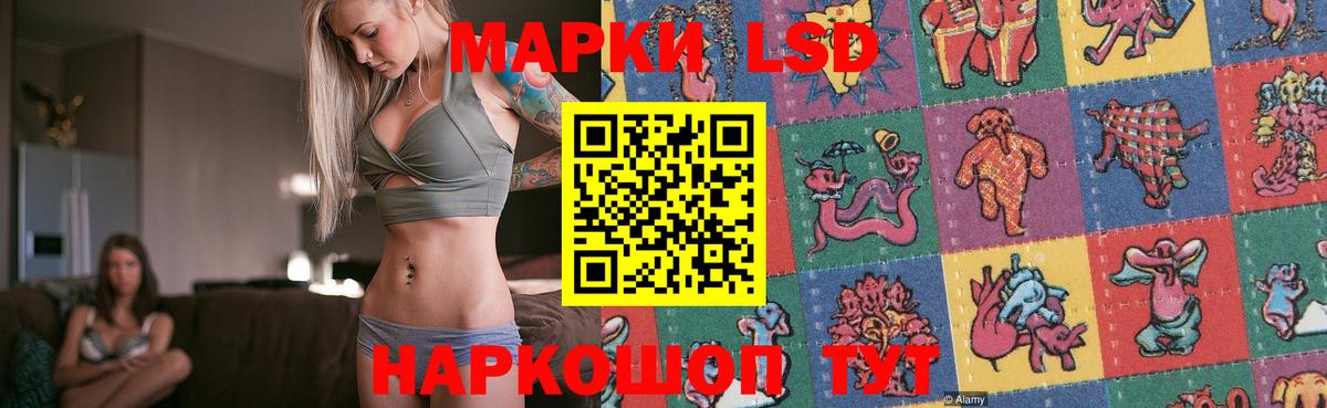 Лсд 25 экстази ecstasy  ЛСД экстази  Новосибирск  ОМГ ОМГ ТОР  Вход с VPN 