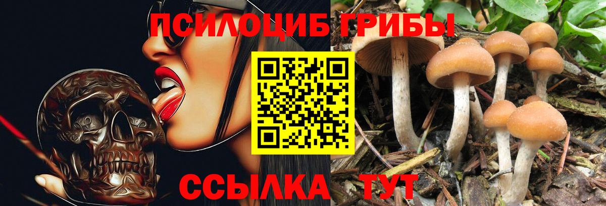 Псилоцибиновые грибы MAGIC MUSHROOMS Новосибирск