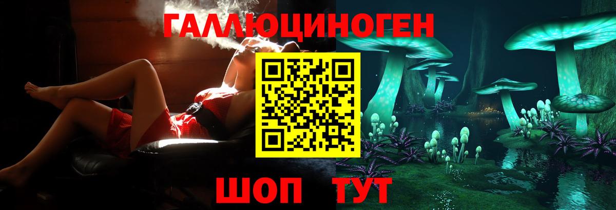 Галлюциногенные грибы Psilocybine cubensis  Псилоцибиновые грибы мицелий  Новосибирск  Вход с VPN 