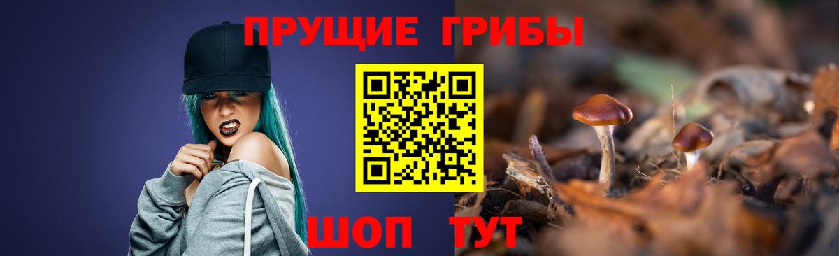 Псилоцибиновые грибы мухоморы Новосибирск