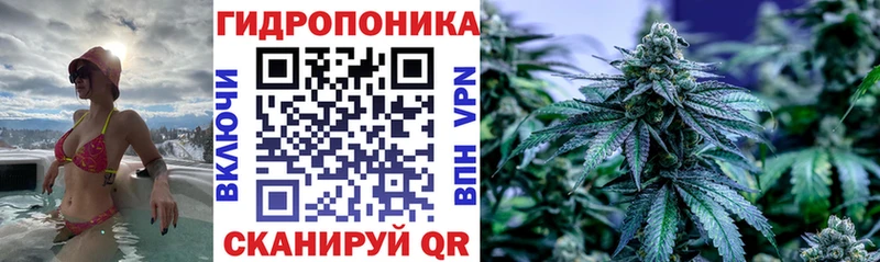 Каннабис AK-47  omg маркетплейс  Новосибирск  где купить  